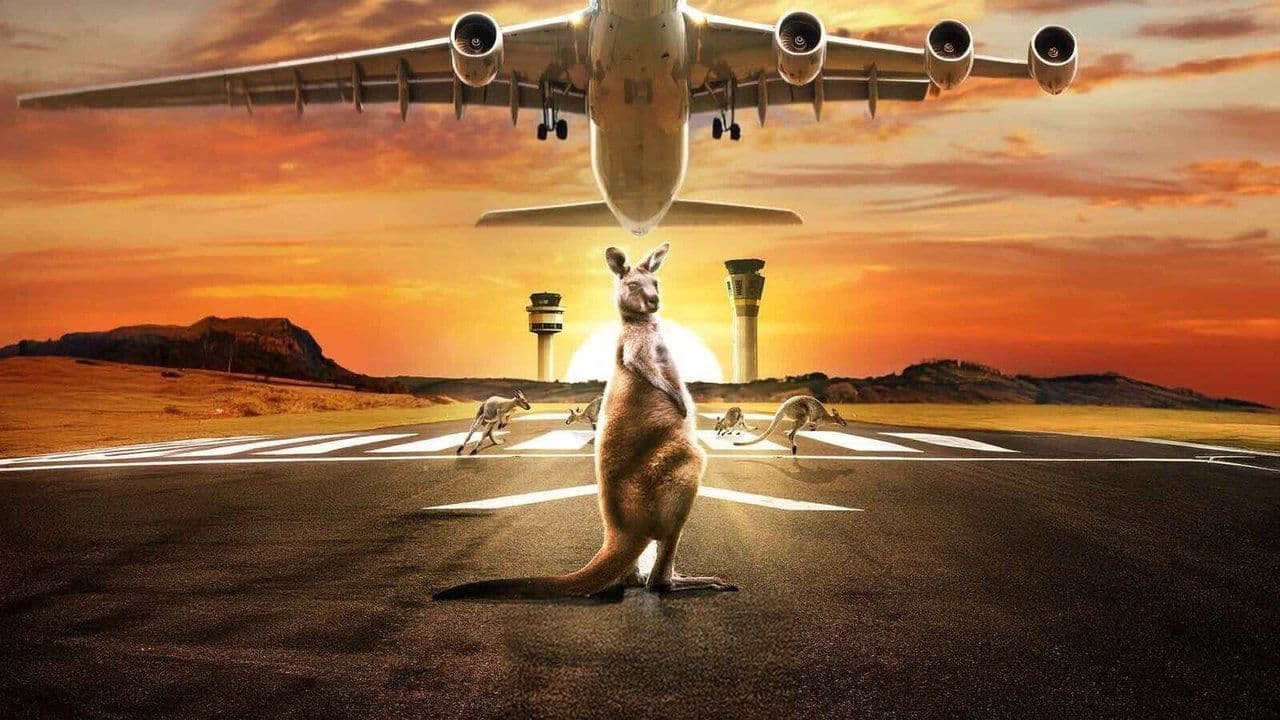 Airport 24/7