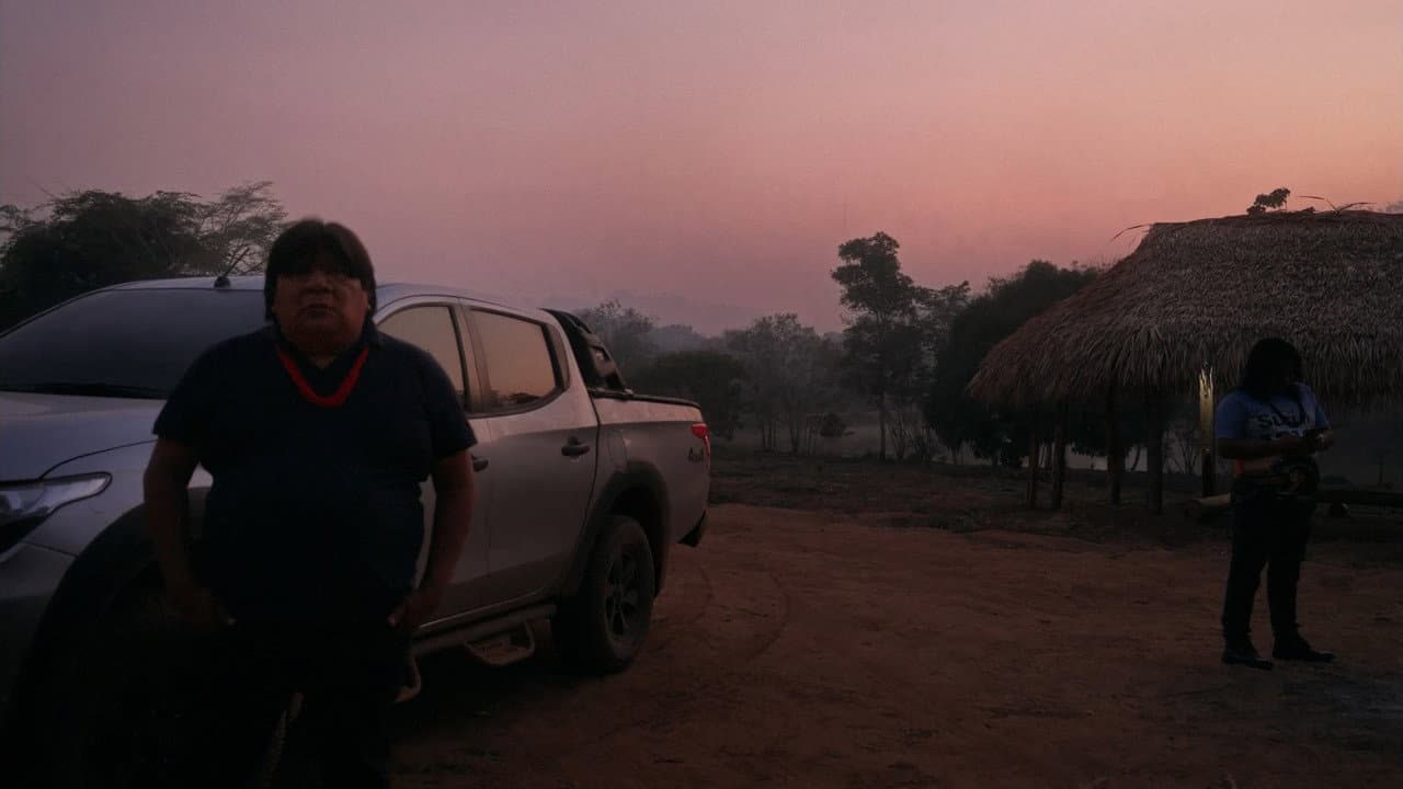 My Foreign Land