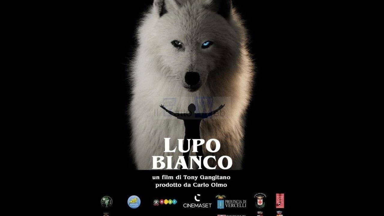White Wolf