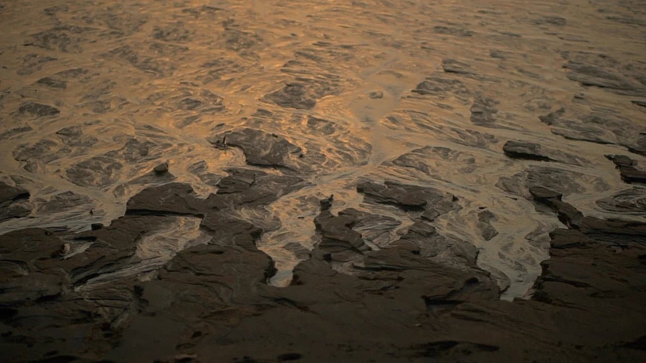 The Last Drop