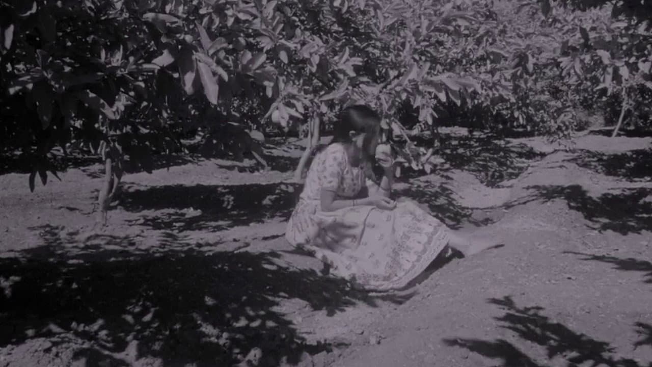 Suman