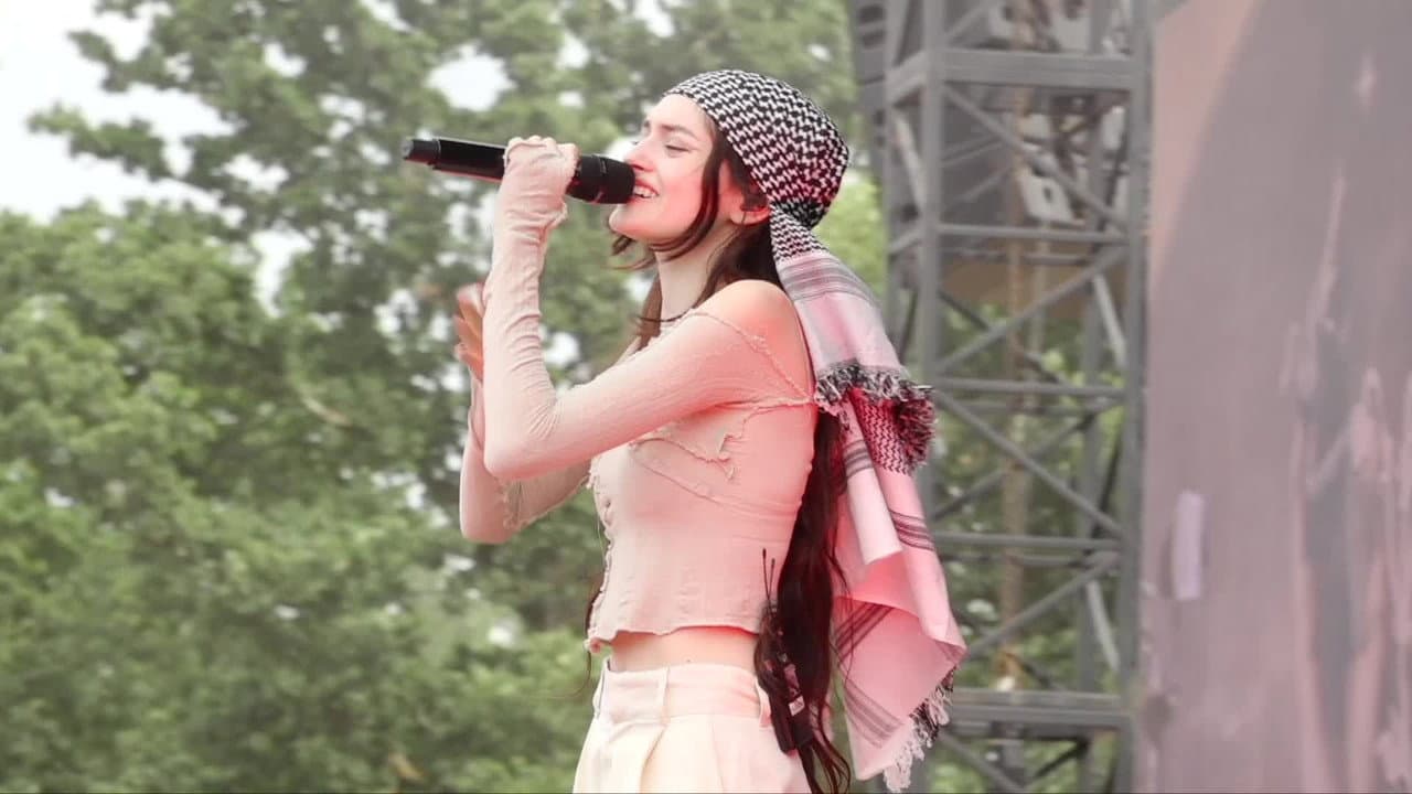 Solann aux Vieilles Charrues