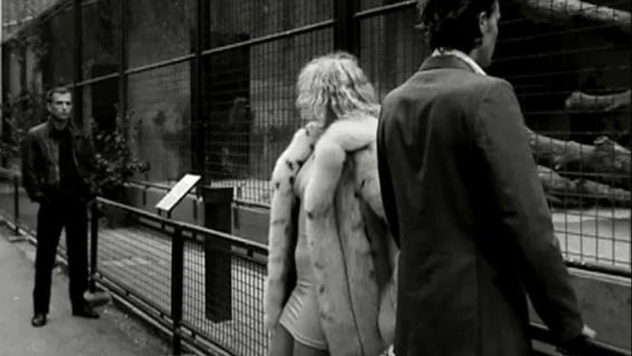Venus in Furs