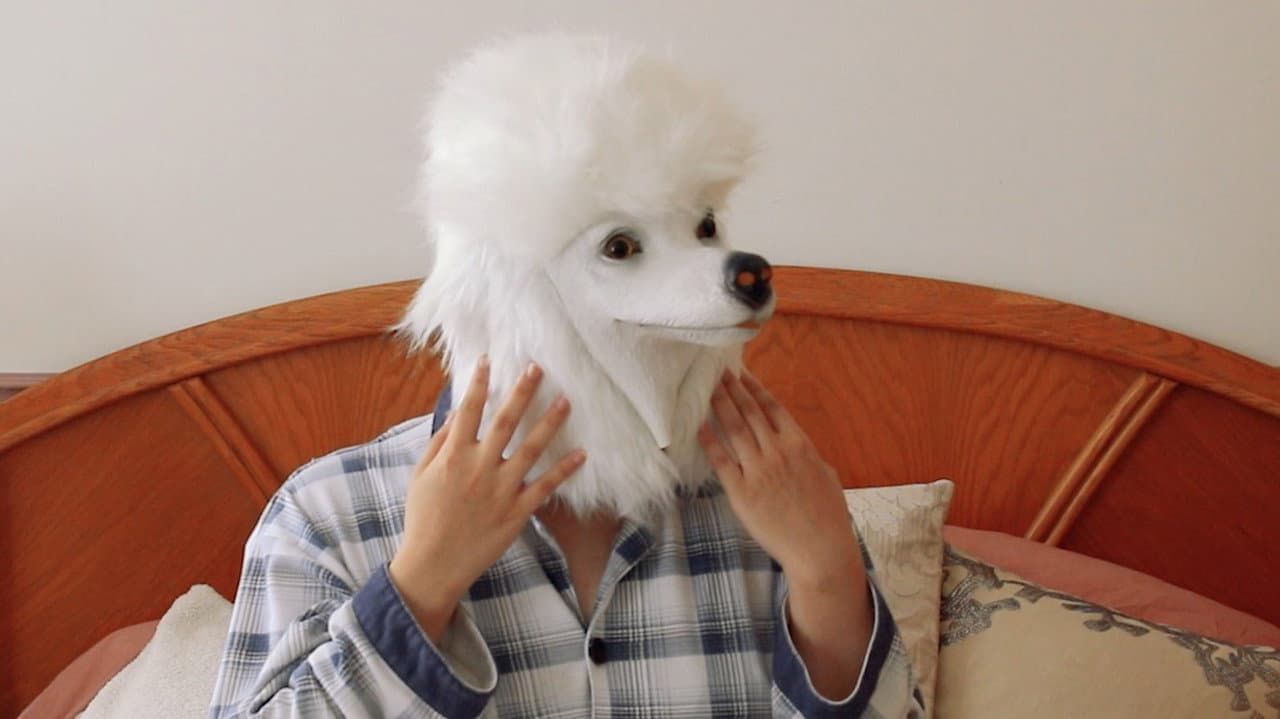 I Wish I Was A Dog