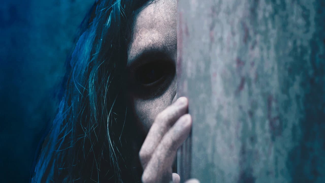 The Visitor