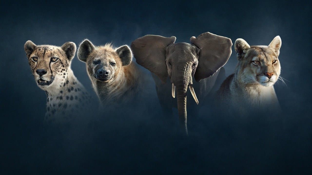 Dynasties II