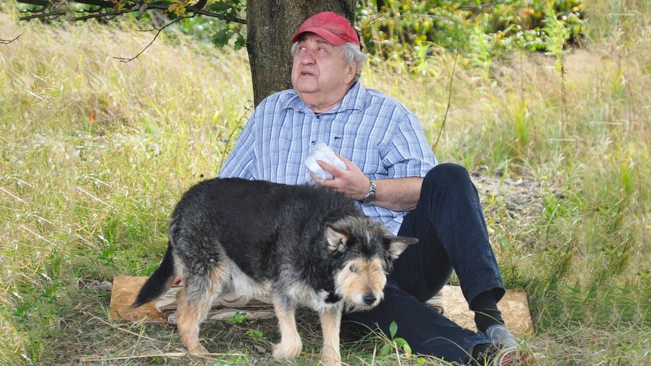 Kundel