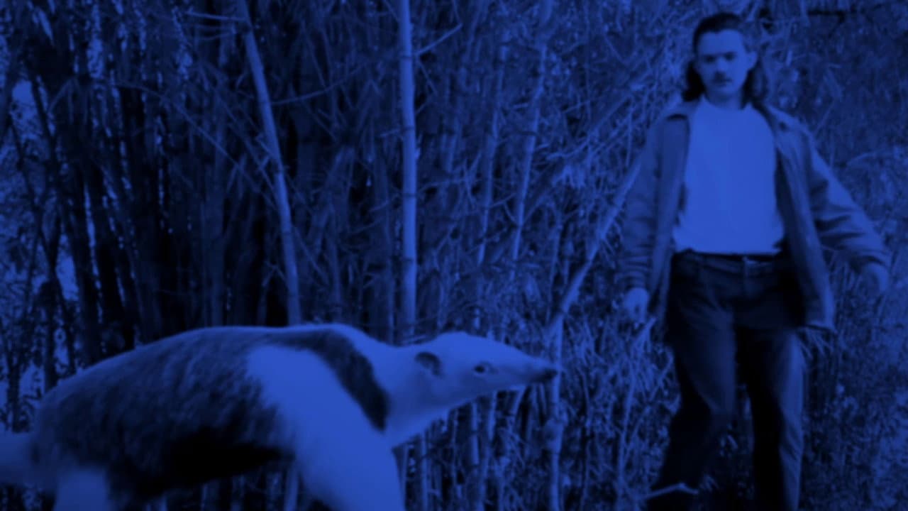 The Longest Night
