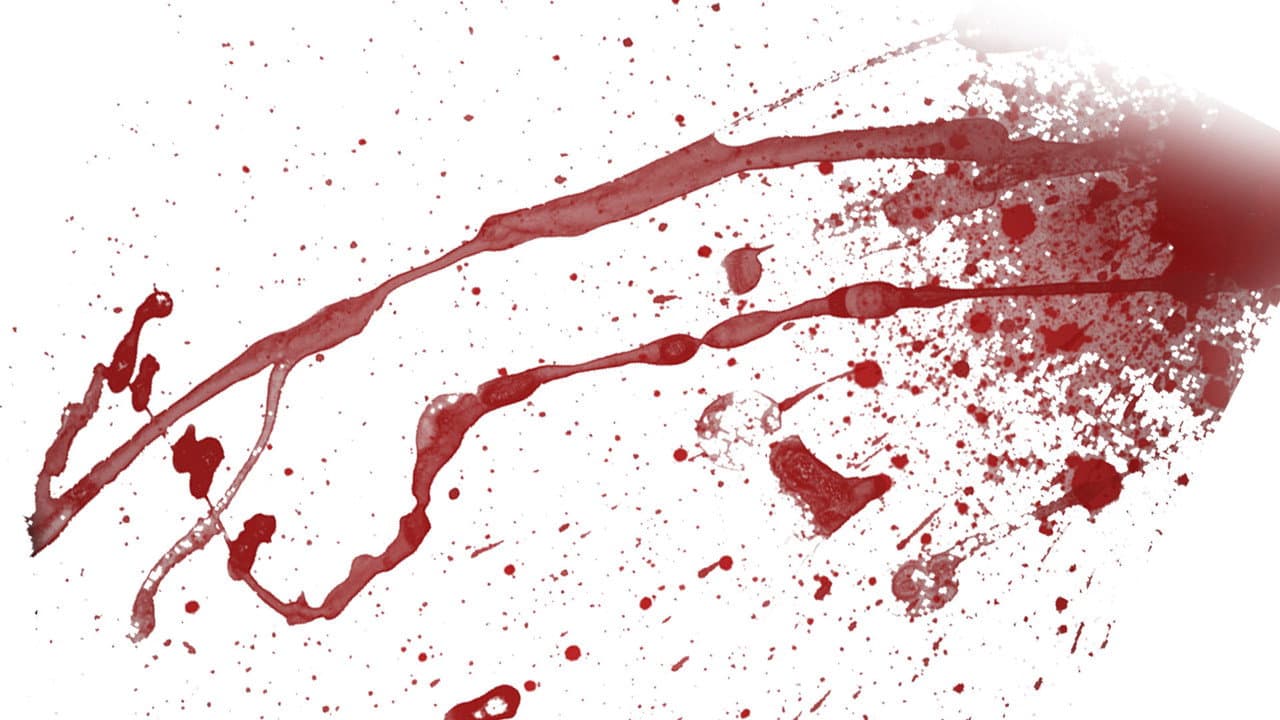 Blood On The Saddle