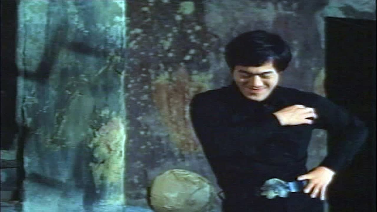 Fists of Bruce Lee