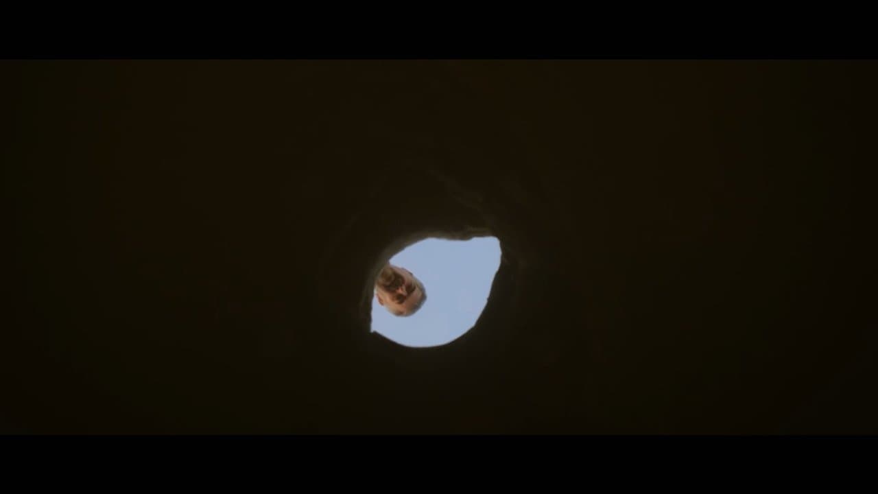 The Ant