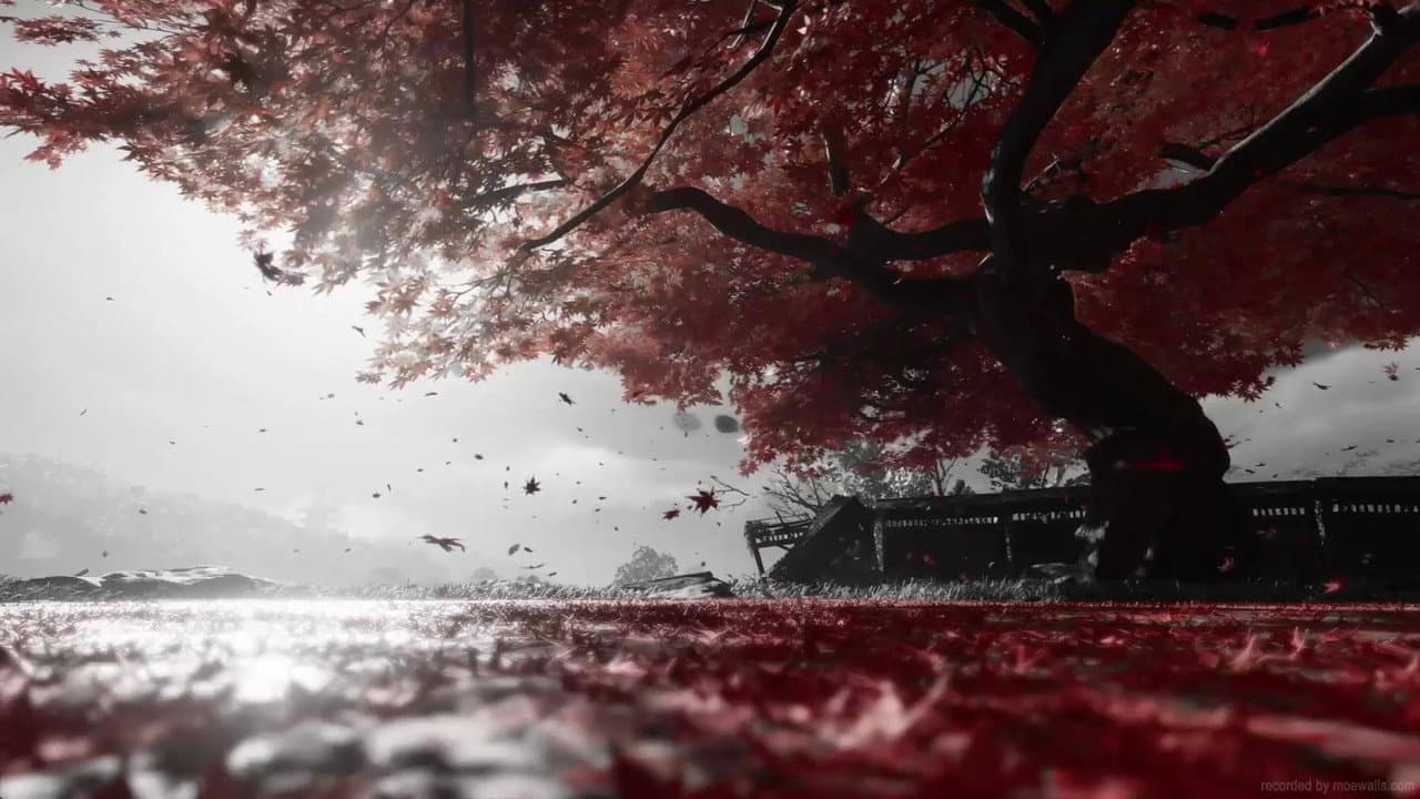 Ghost of Tsushima Director's Cut