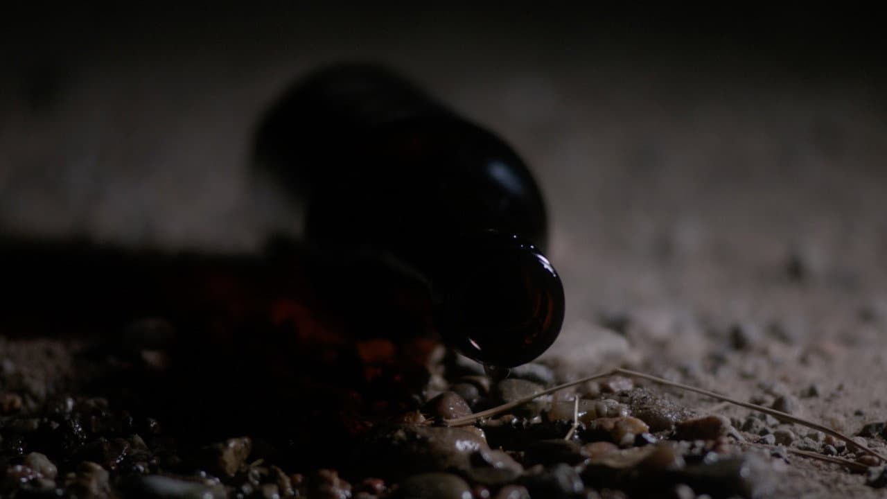 Our Shadow