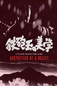 Aesthetics of a Bullet