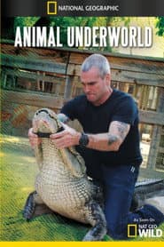 Animal Underworld
