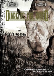 Charging The Rhino
