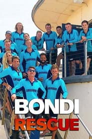 Season 15