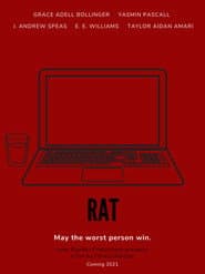 Rat