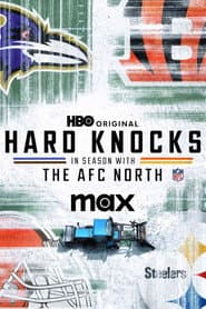 The AFC North