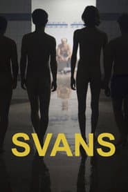 Swans