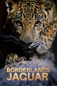 Borderlands Jaguar