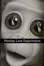Monkey Love Experiments