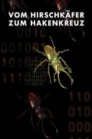 From Stag Beetle to Swastika