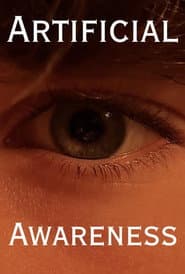 Artificial Awareness