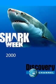 2000