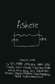 fisheye