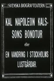 Kal Napoleon Kalsson's Stroke of Luck