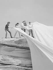 Operation Wrap Up: Christo In Australia
