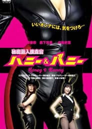 Secret Undercover Agent: Honey & Bunny