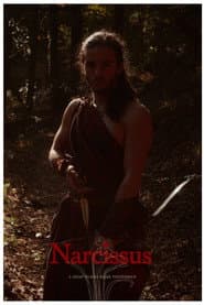 Narcissus