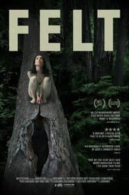 Felt