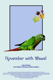 November with Wawel