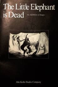 The Little Elephant is Dead / An Elephant Calf Is Dead