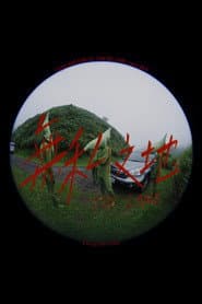 THE LAND