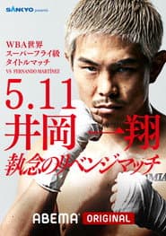 Fernando Martinez vs. Kazuto Ioka 2