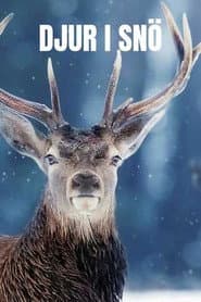 Snow Animals