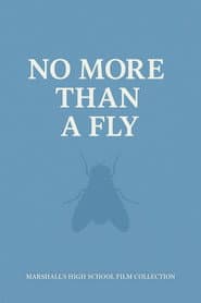 NO MORE THAN A FLY