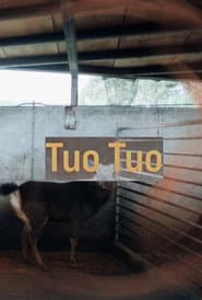 Tuo Tuo