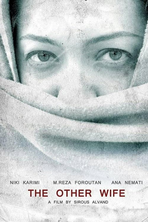 The Other Wife