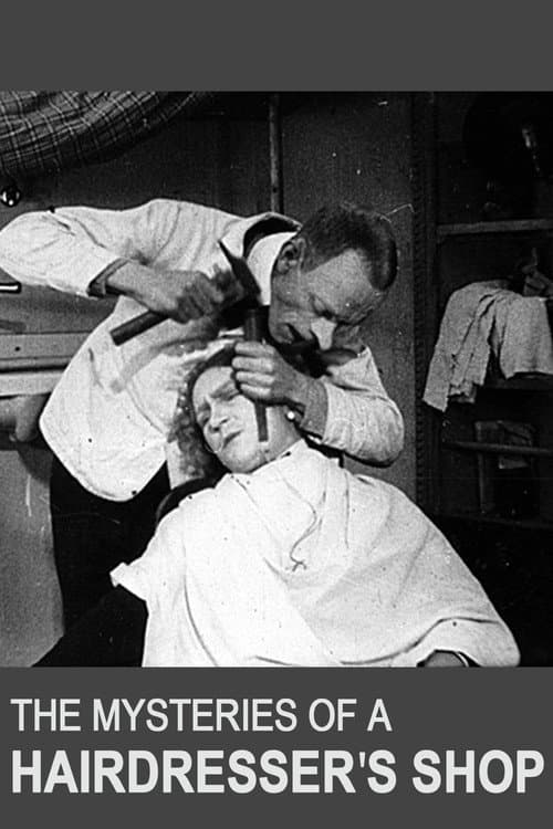 The Mysteries of a Hairdresser's Shop
