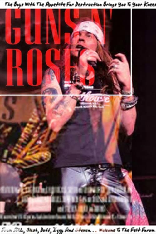 Guns N’ Roses at the Felt Forum NY