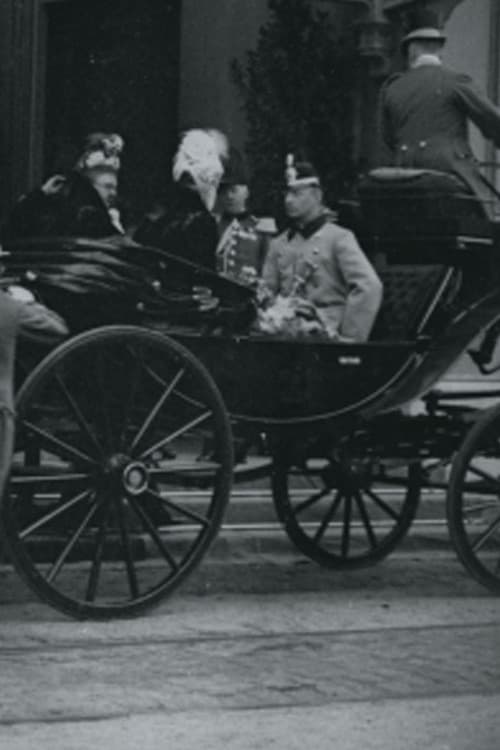 Intocht van hertog Hendrik van Mecklenburg en H.M. de koningin aan het Staatsspoor te 's-Gravenhage