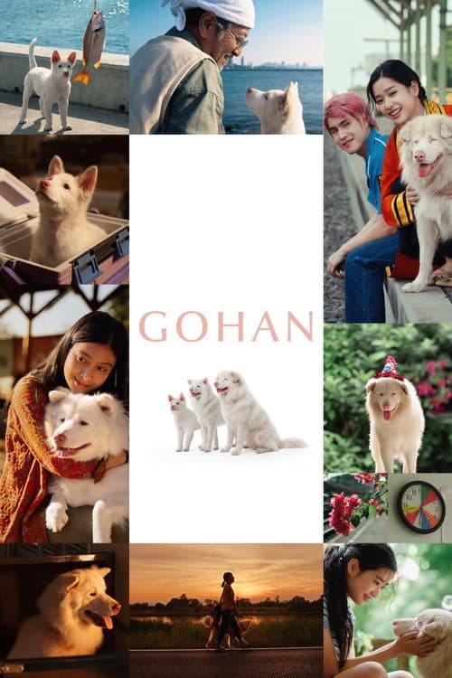 Gohan