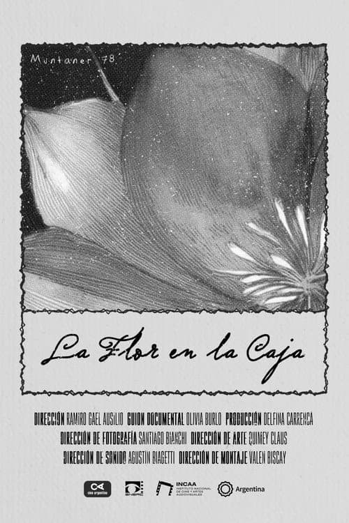 The Flower in the Box