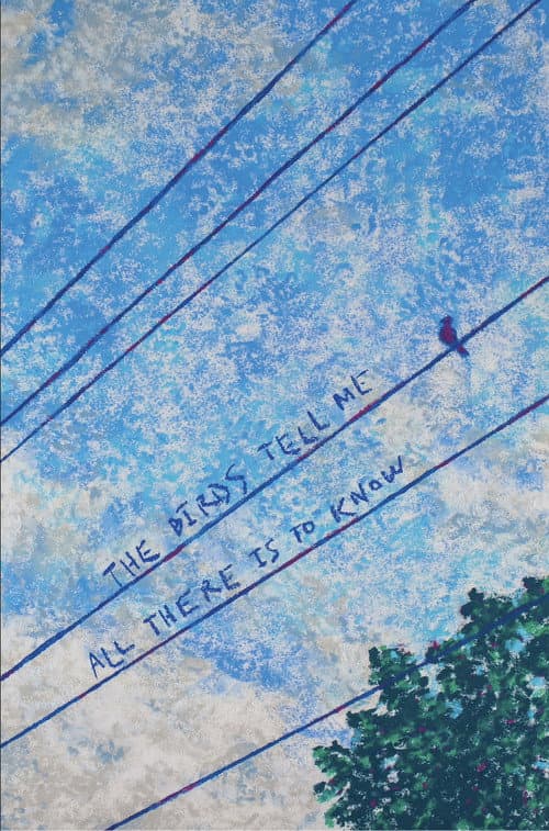The Birds Tell Me All There Is To Know