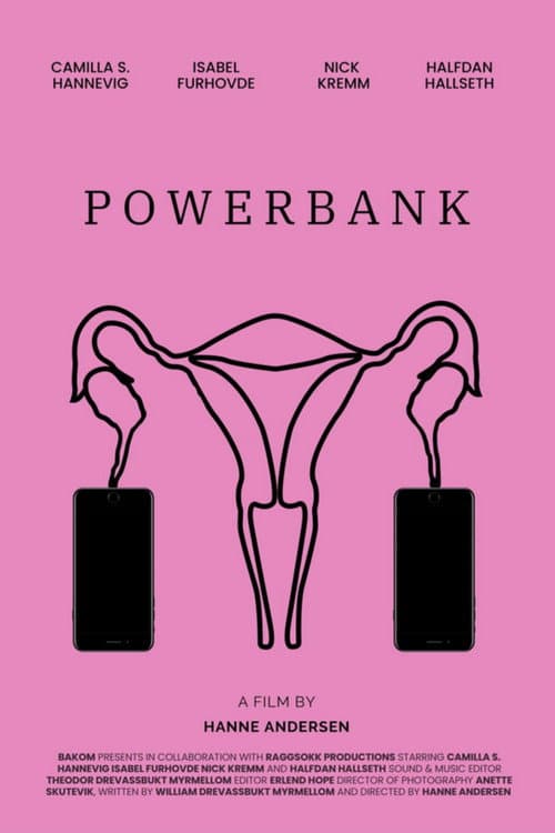 Power Bank